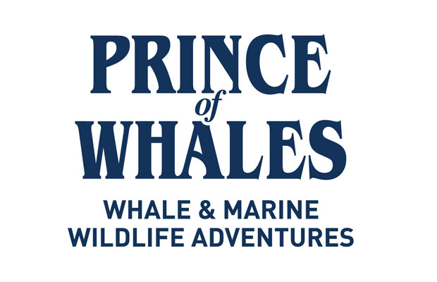 Prince of Whales Whale Watching